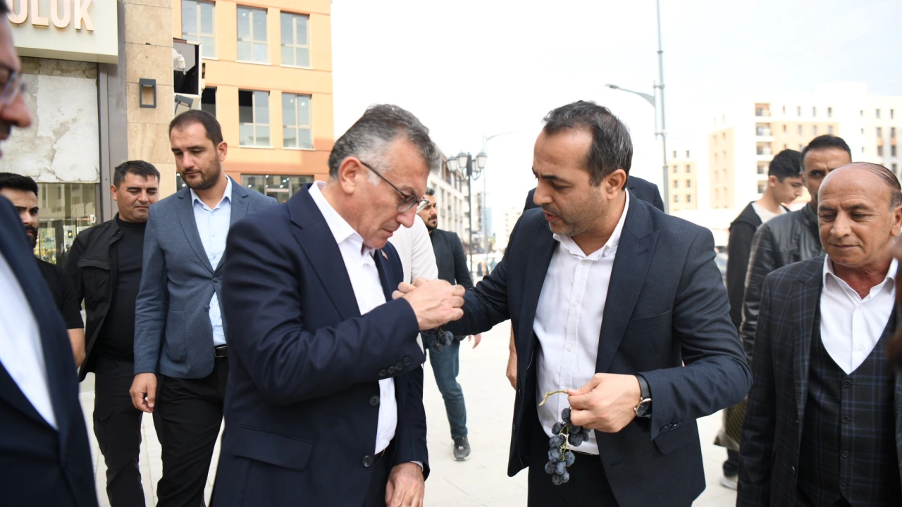 AK Parti Malatya Milletvekili Babacan Arapgir Üzümü Tattırdı