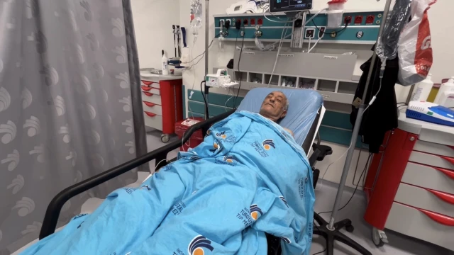 Baskil'de Bir Şahıs Arıların Saldırısıyla Ölümden Döndü!
