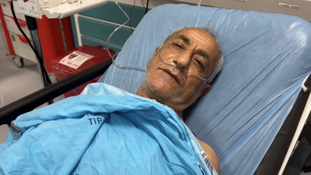 Baskil'de Bir Şahıs Arıların Saldırısıyla Ölümden Döndü! — Fotoğraf 2