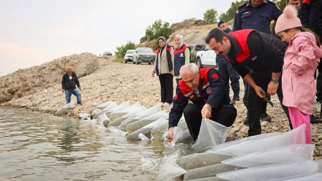 Malatya’da 1 Milyon 300 Bin Sazan Yavrusu Suya Bırakıldı! — Fotoğraf 1
