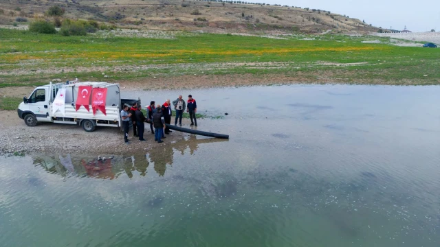 Malatya’da 1 Milyon 300 Bin Sazan Yavrusu Suya Bırakıldı! — Fotoğraf 2