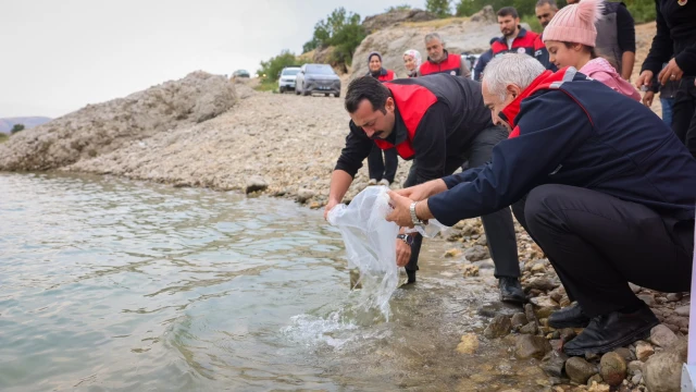 Malatya’da 1 Milyon 300 Bin Sazan Yavrusu Suya Bırakıldı! — Fotoğraf 6
