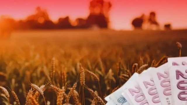 TMO’dan üreticilere 4,2 milyar liralık ürün bedeli ödemesi