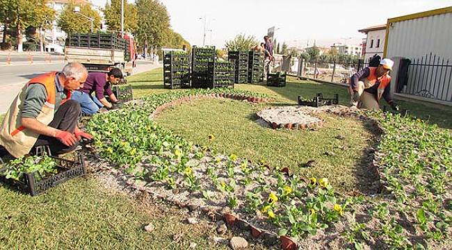 Malatya'da Çiçeklendirme Çalışmaları Başladı
