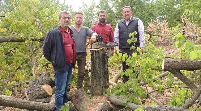 Malatya'da 2.5 Milyon Kayısı Ağacı Kesildi