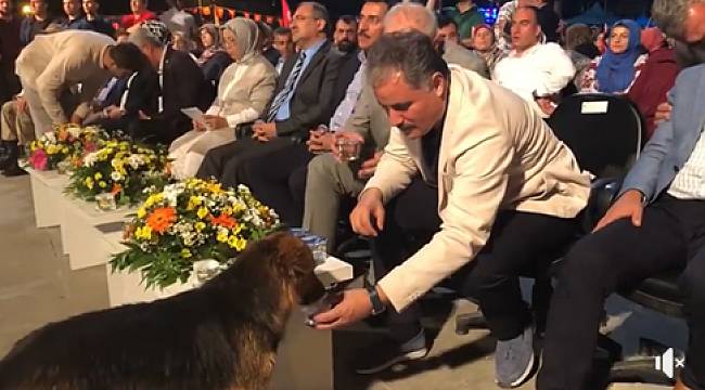 Malatya Büyükşehir Belediye Personeli Şaşırdı