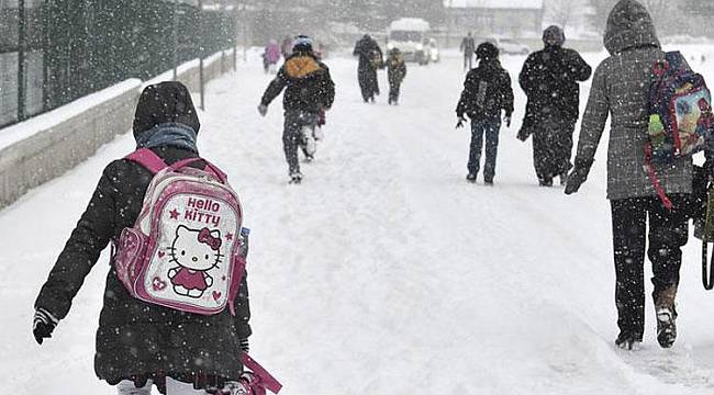 Malatya'da Kar Yağışı Nedeniyle Okullar Tatil Edildi