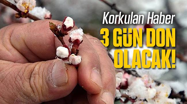 Malatya'da 3 Günlük Don Tehlikesi Başladı