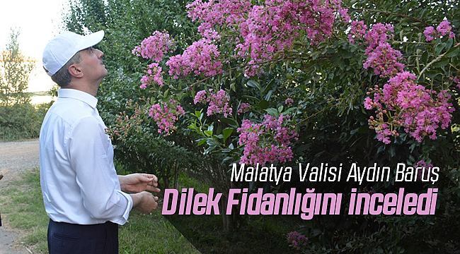 Malatya Valisi Baruş Dilek Fidanlığını İnceledi