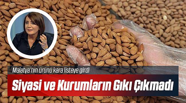 Malatya Kayısı Çekirdeği Güvenli Değilmiş!