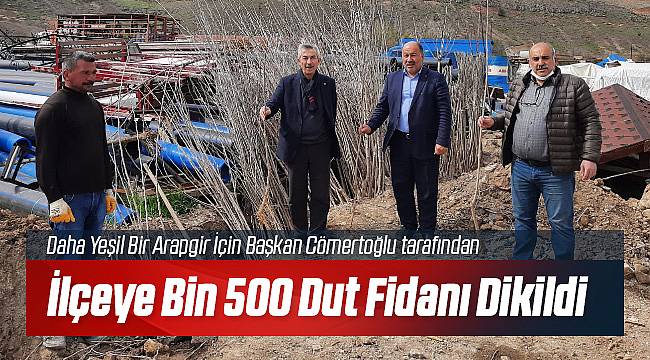 Arapgir'de Bin 500 Dut Fidanı Dikildi 