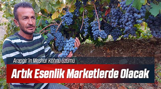 Bin Derde Şifa Köhnü Üzümü Artık Esenlik Marketlerde