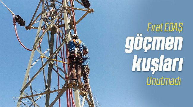FIRAT EDAŞ Göçmen Kuşları Unutmadı!