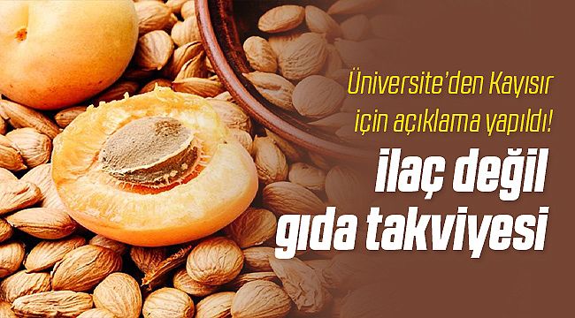 Kayısır Ürünleri İlaç Değil, Gıda Takviyesidir!