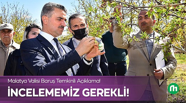 Malatya Valisi'nden Kayısı Don Afetine Açıklama!