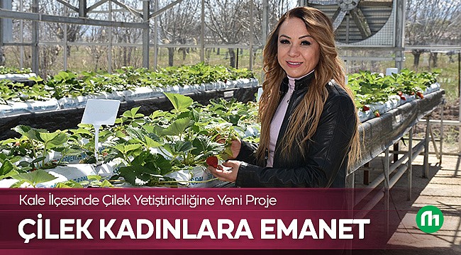 Kale'de Çilek Kadın Eliyle Yetiştilecek!