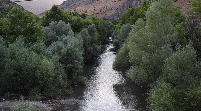 Arapgir Kozluk Çayı 50 Bin Ziyaretçi Sayısına Ulaştı
