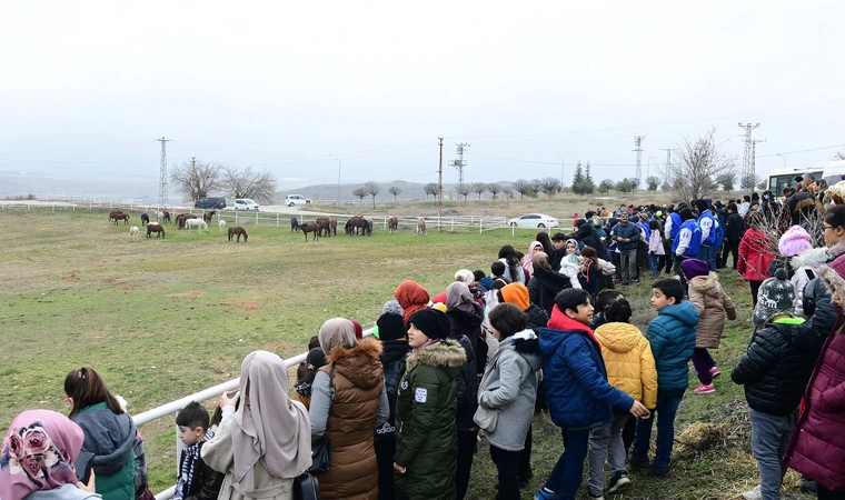 Öğrencilere Sultansuyu Harası Gezdirildi!