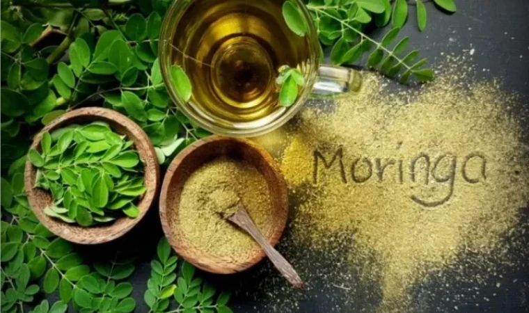 Yaza fit girmek isteyenler! Kalıcı tokluk iksiri “Moringa Çayı” ile ağır diyet listeleri rafa kalkıyor! Moringa çayı zayıflatır mı?