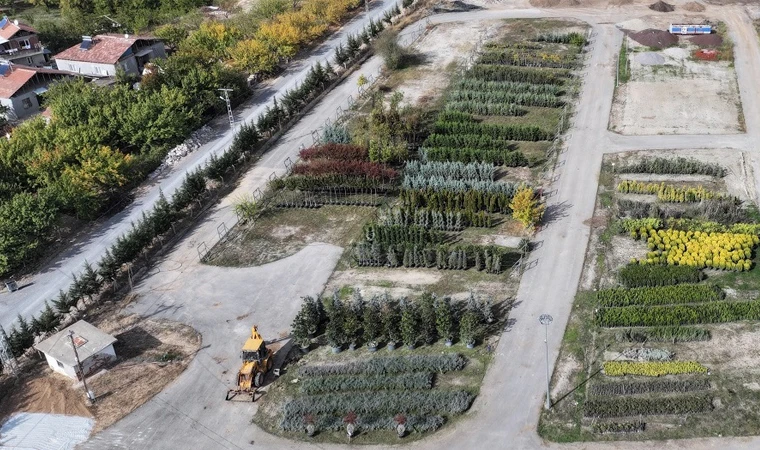 Malatya Yeşilyurt Belediyesi'nden Rekor Sayıda Ağaçlandırma