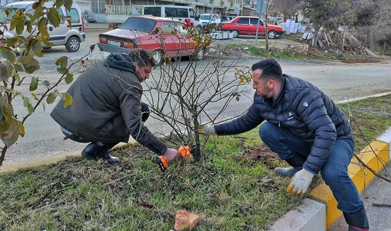 Malatya Arapgir Belediyesi'nden Peyzaj Çalışmaları