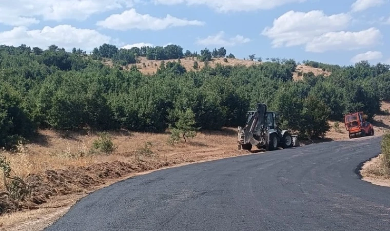 Hekimhan’da yol çalışmaları devam ediyor