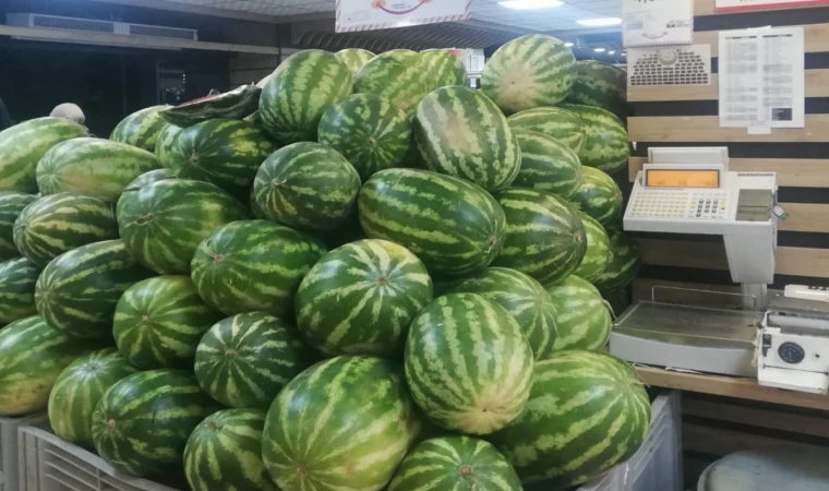 Karpuz fiyatları 50 TL’den 4.95 TL’ye düştü