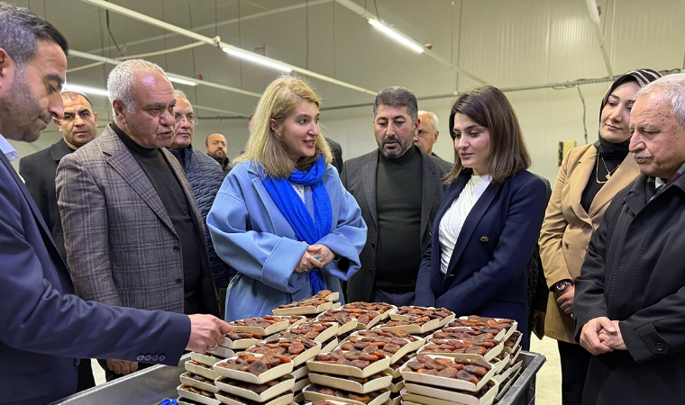 Milletvekili Ölmeztoprak Önemli Bir Ayrıntıya Dikkat Çekti!