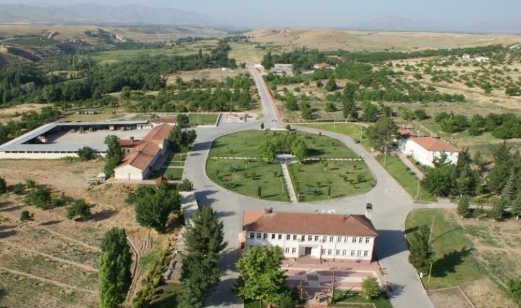 Akçadağ Sultansuyu Tarım İşletmesinde Hayvan Katliamı!