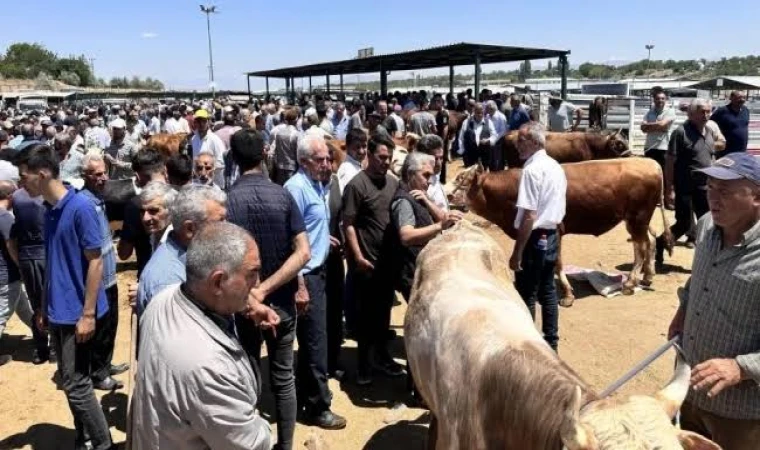 Malatya Hayvan Pazarı O Sebeple Kapatıldı!