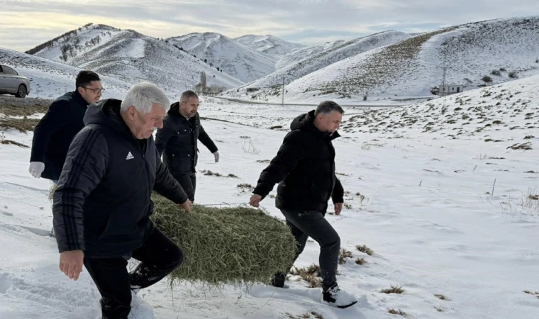 Yeşilyurt Belediyesi Yaban Hayvanlarını Unutmadı!