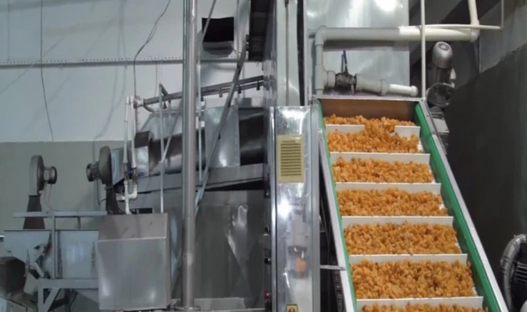 Malatya Kayısı Firması Battığını İlan Etti