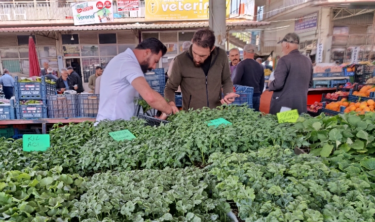Malatya'da Artan Sebze Fiyatları Vatandaşları O Tercihe Yönlendirdi