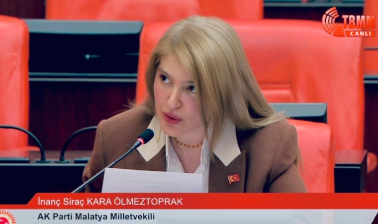 Milletvekili Ölmeztoprak, Dolu Hasarı ve Sanayi Sitesini TBMM'de Konuştu