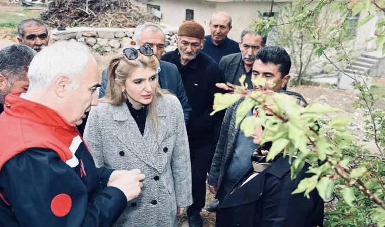 Milletvekili Ölmeztoprak, Malatya’daki Dolu Hasarını İnceledi