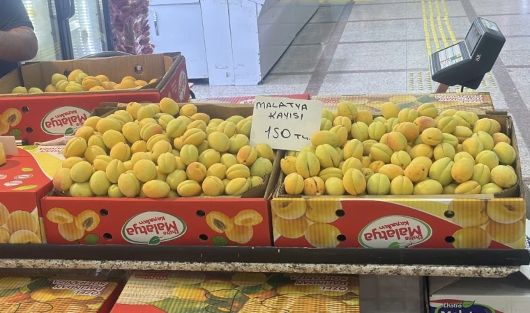Malatya Kayısısı Tezgahlarda! Fiyatı Cep Yakıyor