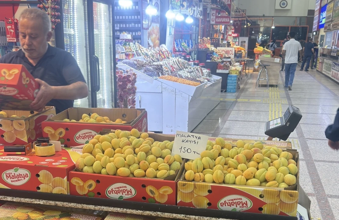 Malatya Kayısısı Tezgahlarda! Fiyatı Cep Yakıyor