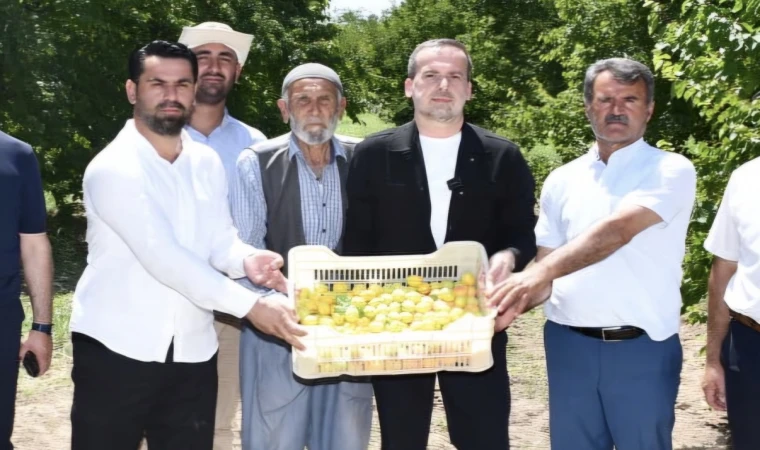 Başkan Karademir’den Kayısı Birlik Çağrısı!