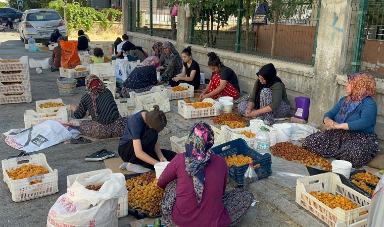 Dikkat! Kayısı Patiği Yaparken Ceza Almayın!