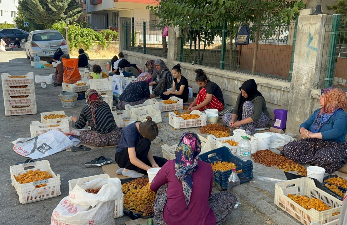 Dikkat! Kayısı Patiği Yaparken Ceza Almayın!