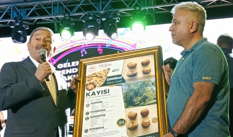 Darende Zengibar Cevizi Dünya Standartlarını Sarstı