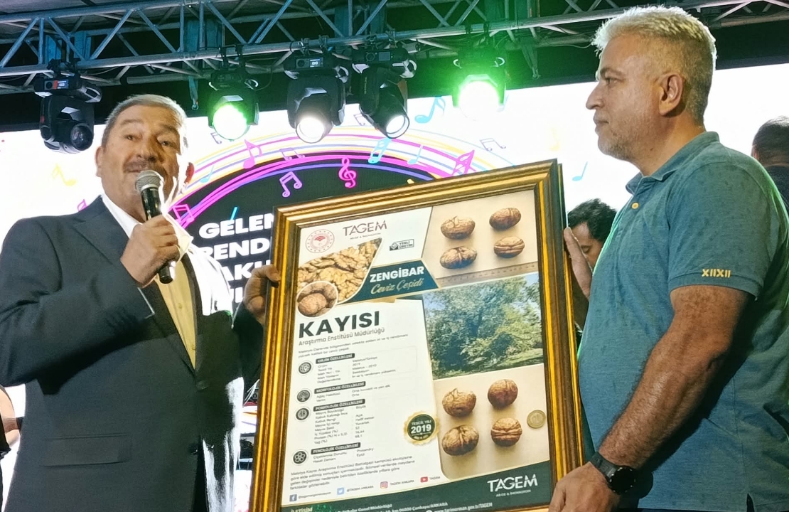 Darende Zengibar Cevizi Dünya Standartlarını Sarstı