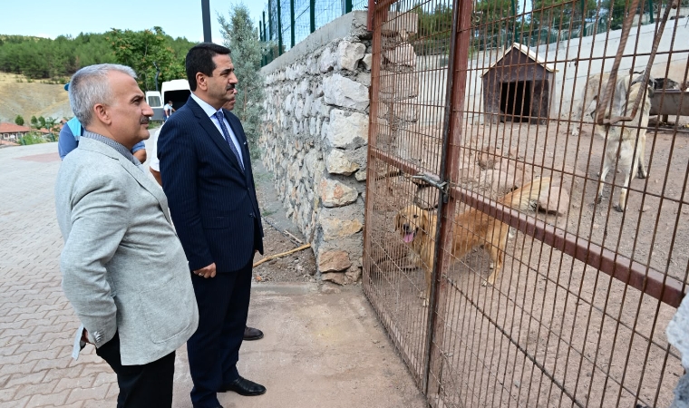 Başkan Taşkın, Hayvan Barınağında İncelemelerde Bulundu