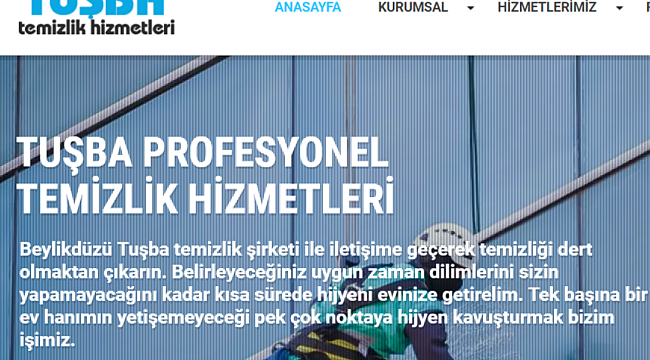 Profesyonel Beylikdüzü Temizlik Firması