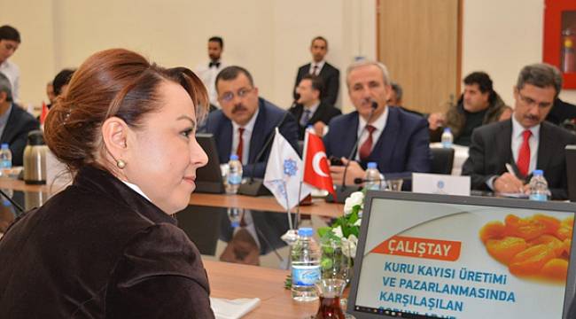 Kayısı Çalıştayının sonuç bildirgesi paylaşıldı