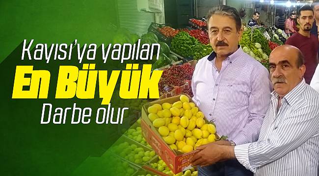 Kayısı İçin Büyük Bir Darbe Olur 
