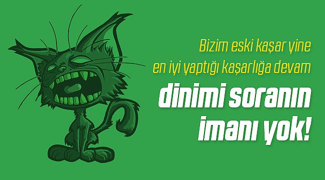 Nankör Kaşar Tam Gaz Yolunda!