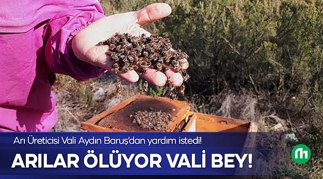 Arıcılar, Malatya Valisi'nden Yardım Talep Etti