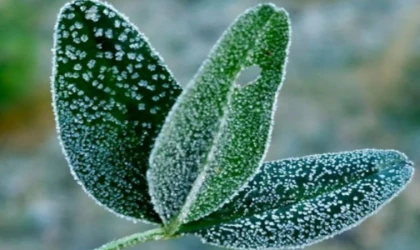 Meteoroloji’den don ve çığ uyarısı