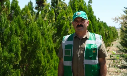 Malatya'da 30 Bin Fidan Dikime Hazır!